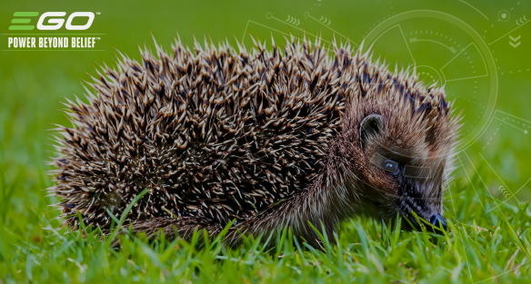 Hedgehog friendly mowing - Ego Power+